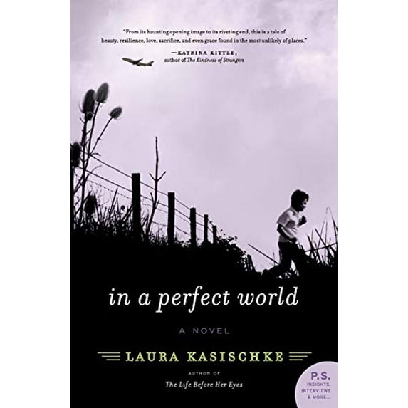 Pre-Owned In a Perfect World (Paperback) 0061766119 9780061766114