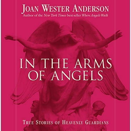 Pre-Owned In the Arms of Angels: True Stories of Heavenly Guardians (Paperback) 0829420401 9780829420401