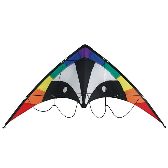 In the Breeze 1025 — Skunk Stunt Kite, 48-Inch — Fun Entry-Level Framed Sport Kite