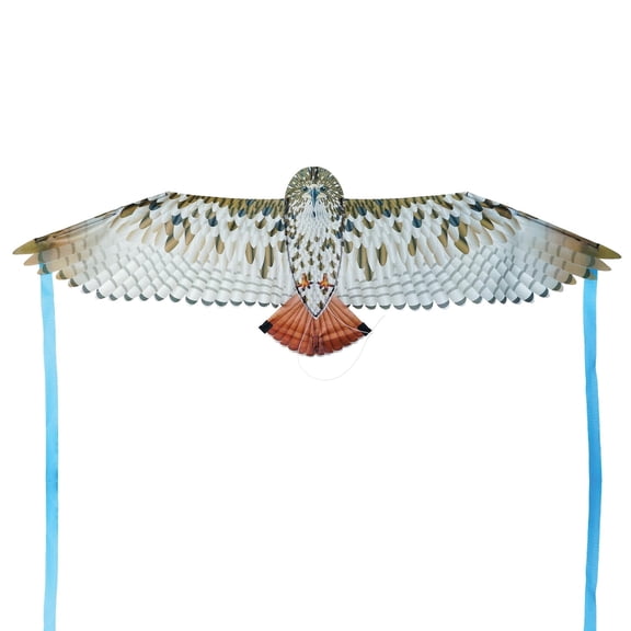 In the Breeze 3519 — 40-inch Red-Tailed Hawk Bitty Bird Kite — Bold, Small, Fully Printed Bird of Prey Kite for All Skill Levels