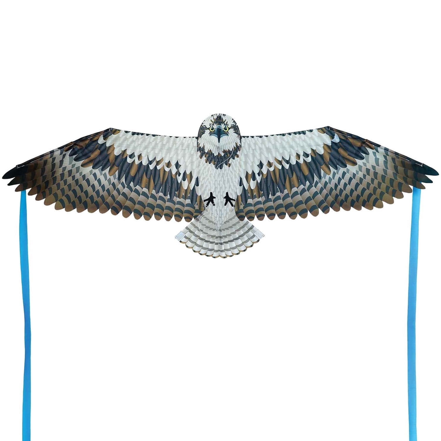 In the Breeze 3534 — 40-inch Osprey Bitty Bird Kite — Bold, Small, Fully Printed Bird of Prey Kite for All Skill Levels