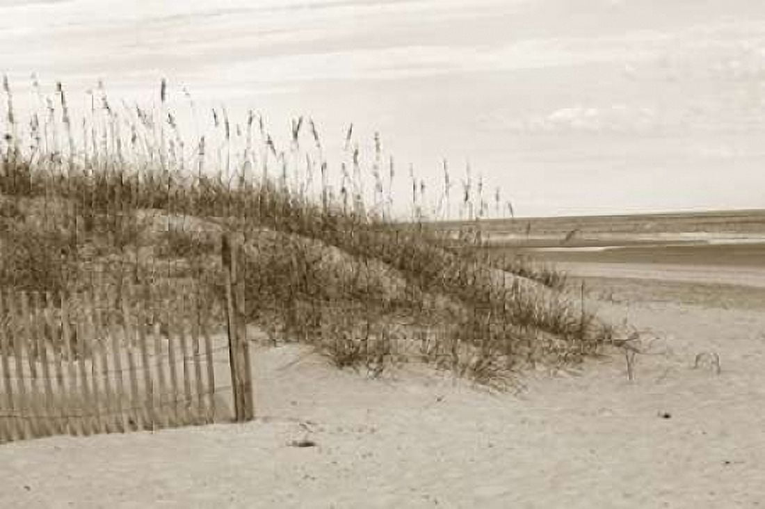 In the Dunes 1 Canvas Art - Amber Light Gallery (24 x 36)