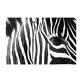 thumbnail image 1 of In the Eye of It - South Africa Photography Black and White Wildlife Animal Nature Pattern Minimalist Unframed Wall Art Print 4 x 6 inches, 1 of 7