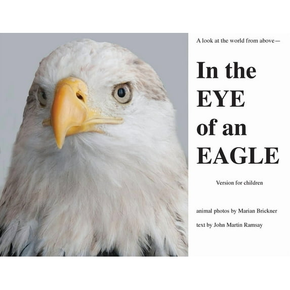 In the Eye of an Eagle: A look at the world from above., (Paperback)