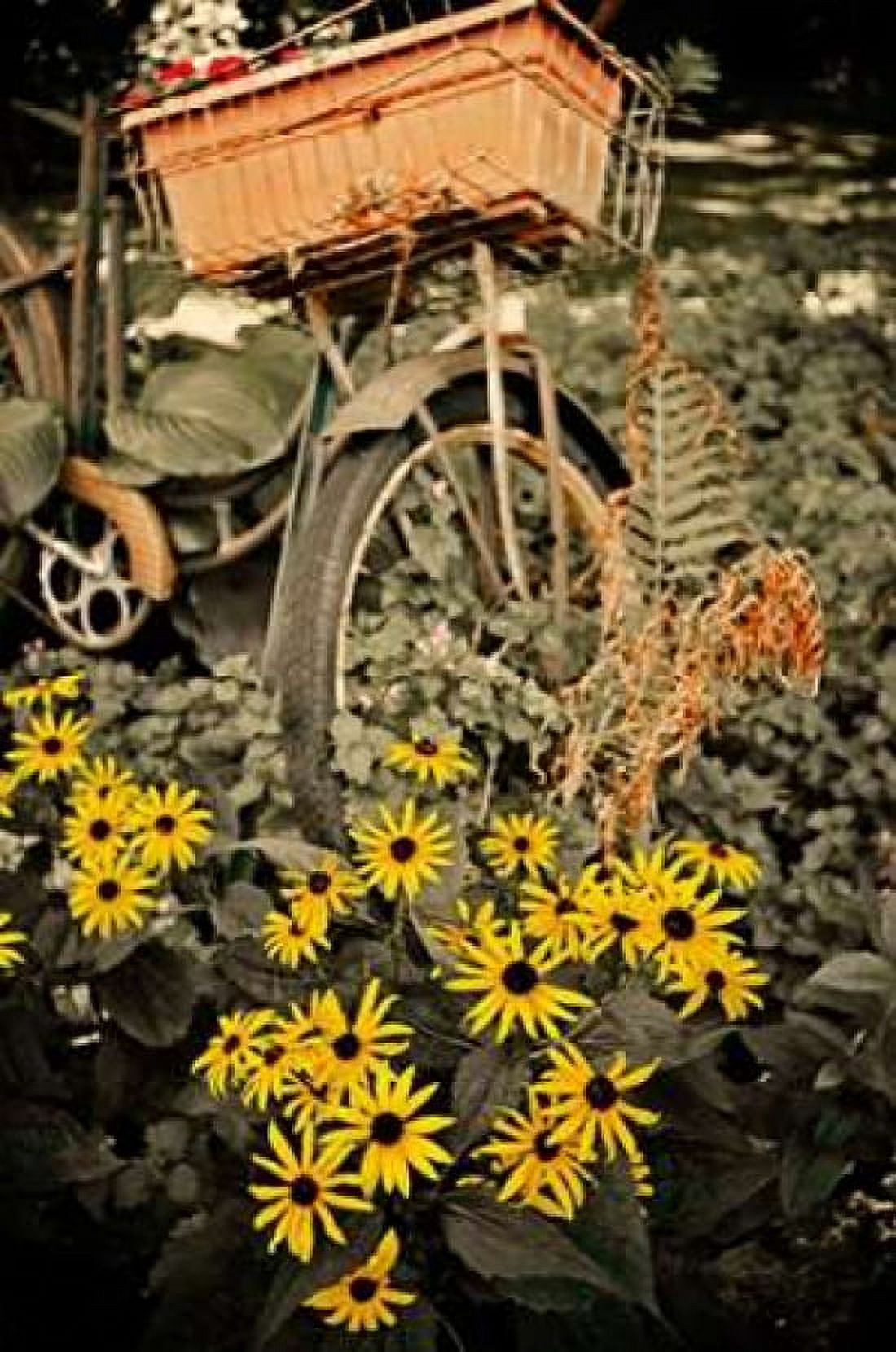 In the Fields II Canvas Art - Bruce Nawrocke (24 x 36)