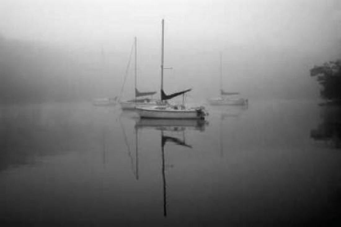 In the Fog Canvas Art - Tammy Putman (20 x 28)