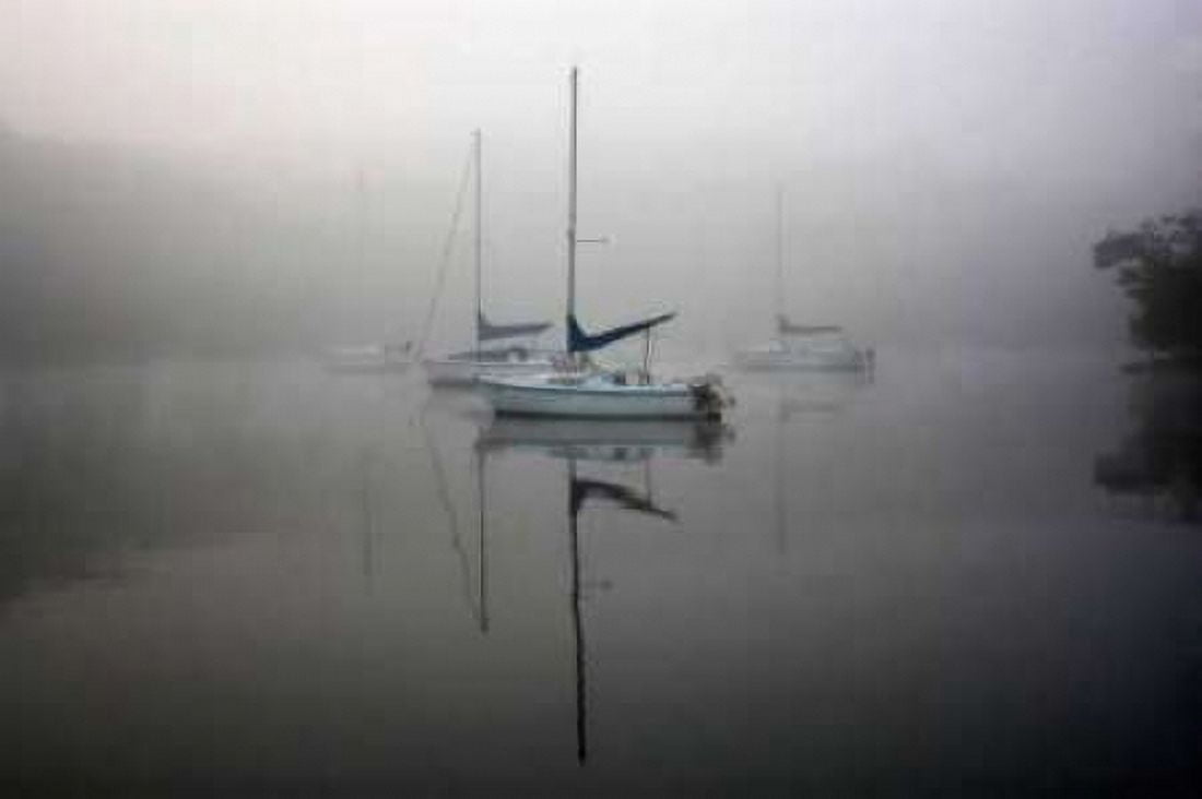 In the Fog Canvas Art - Tammy Putman (20 x 28)