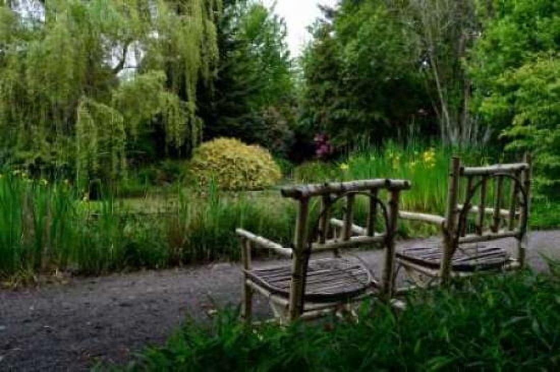 In the Garden I Canvas Art - Brian Moore (24 x 36)
