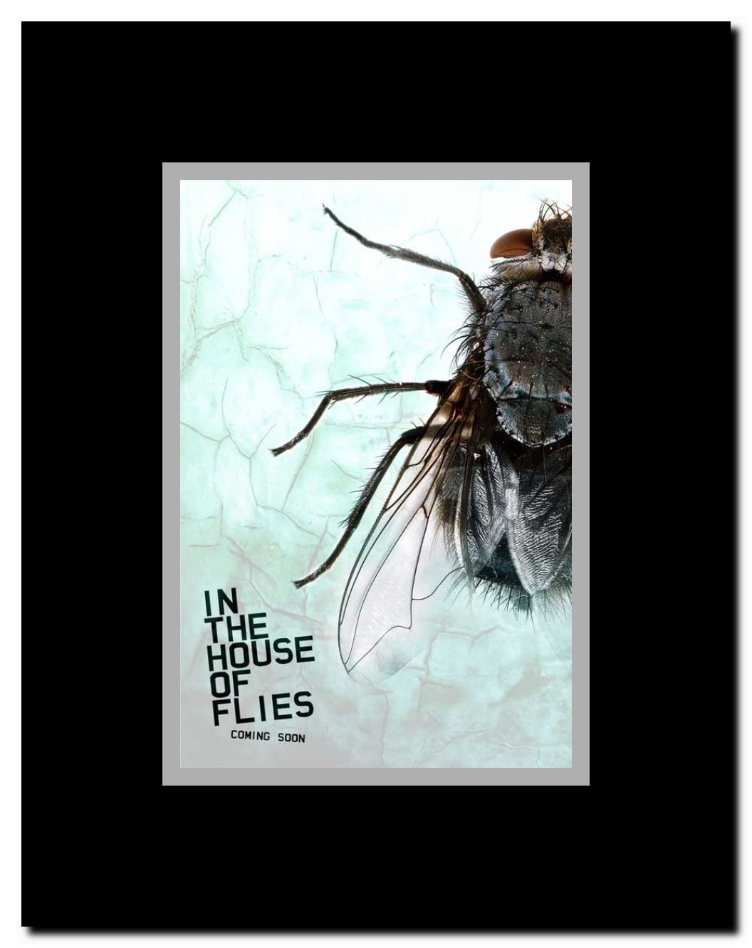 In the House of Flies Framed Movie Poster
