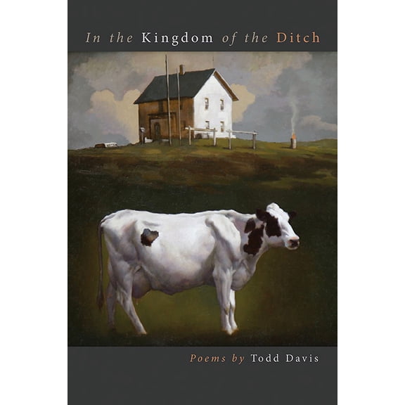 In the Kingdom of the Ditch (Paperback)