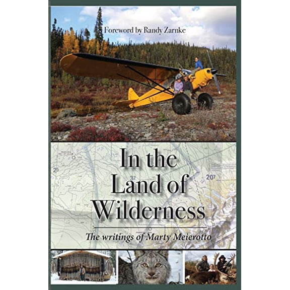 Pre-Owned In the Land of Wilderness (Paperback) 1594339619 9781594339615