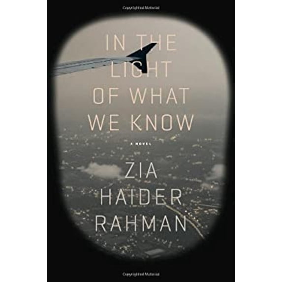 Pre-Owned In the Light of What We Know: A Novel (Hardcover) 0374175624 9780374175627