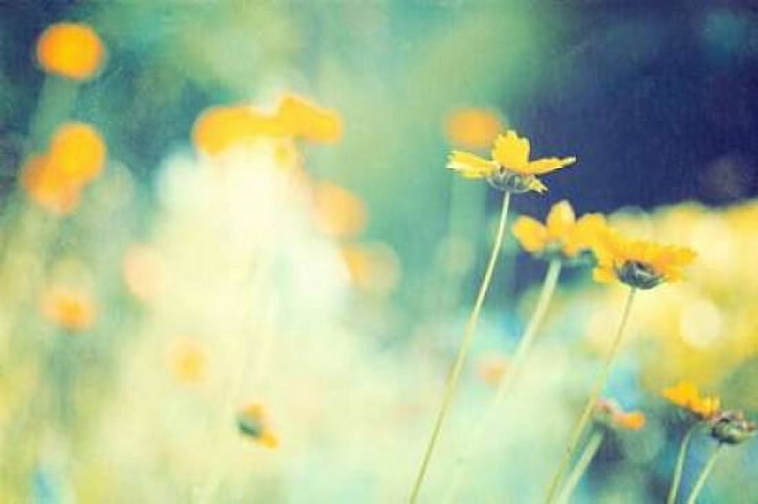 In the Meadow Canvas Art - Carolyn Cochrane (24 x 36)