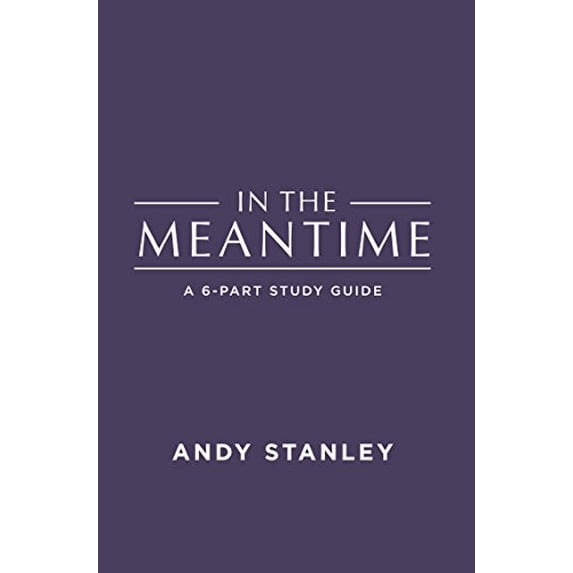 Pre-Owned In the Meantime Study Guide Paperback