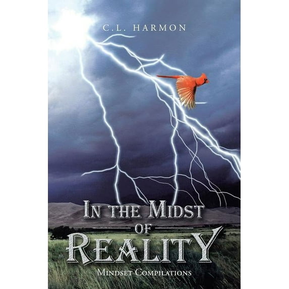 In the Midst of Reality: Mindset Compilations (Paperback)