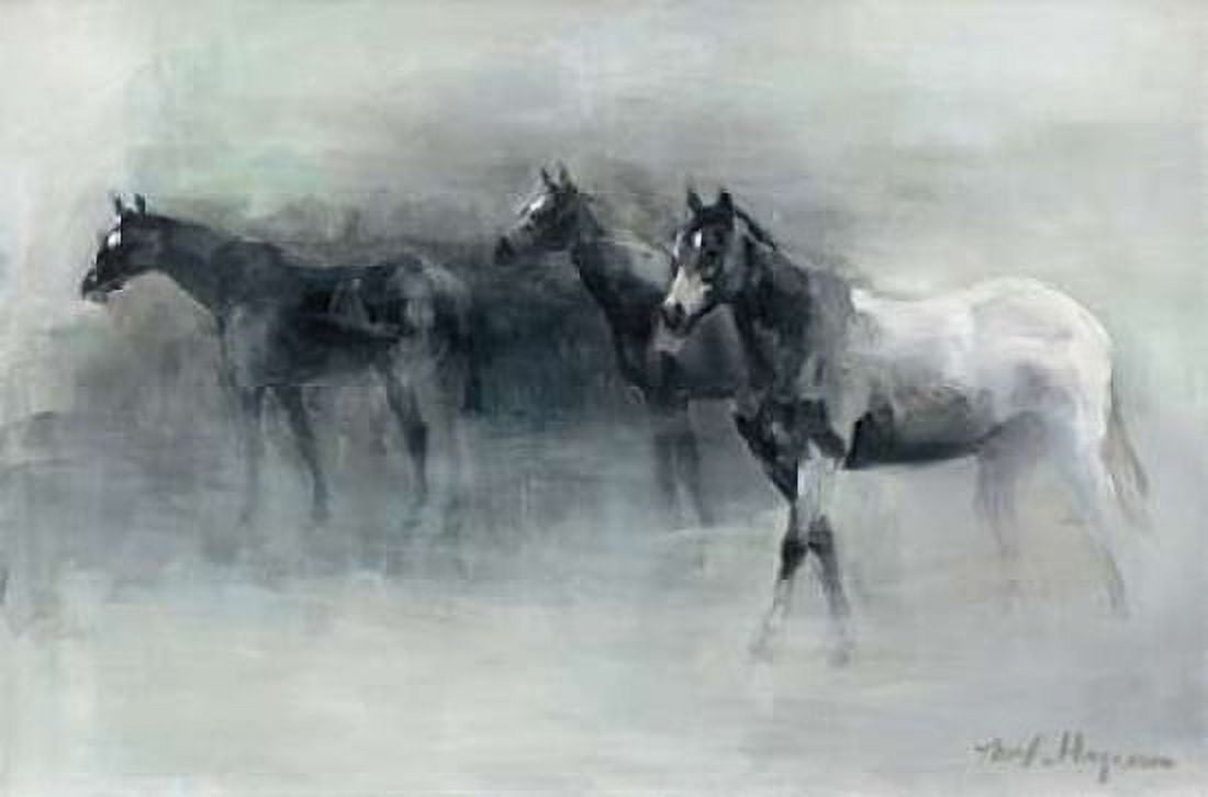 In the Mist Canvas Art - Marilyn Hageman (12 x 18)
