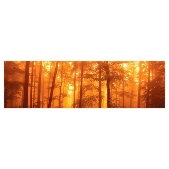 In the Mist Decorative Photography Poster Print 12 by 36