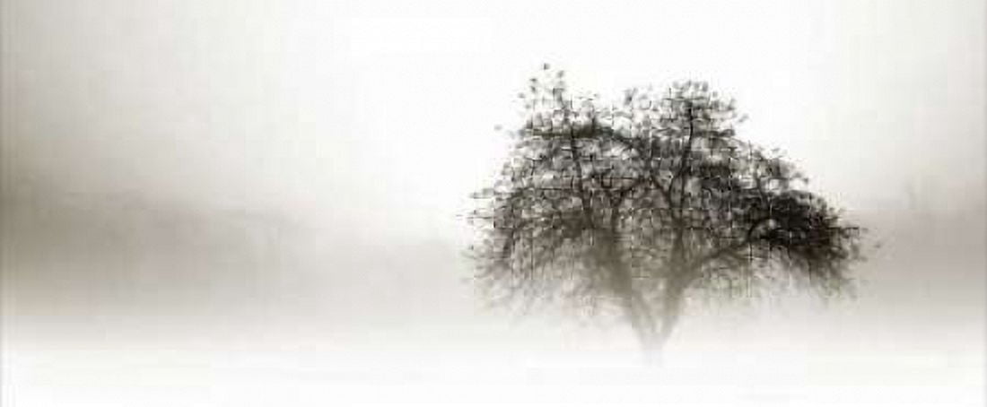 In the Mist I Canvas Art - Alan Hausenflock (24 x 48)