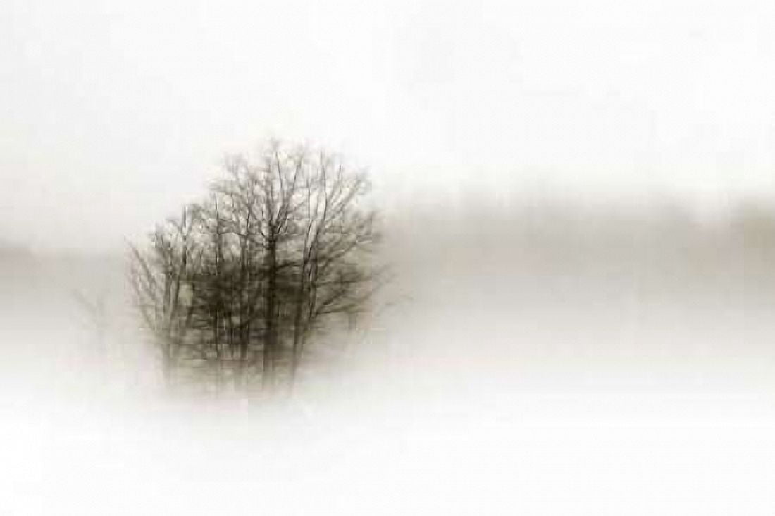In the Mist II Canvas Art - Alan Hausenflock (24 x 36)