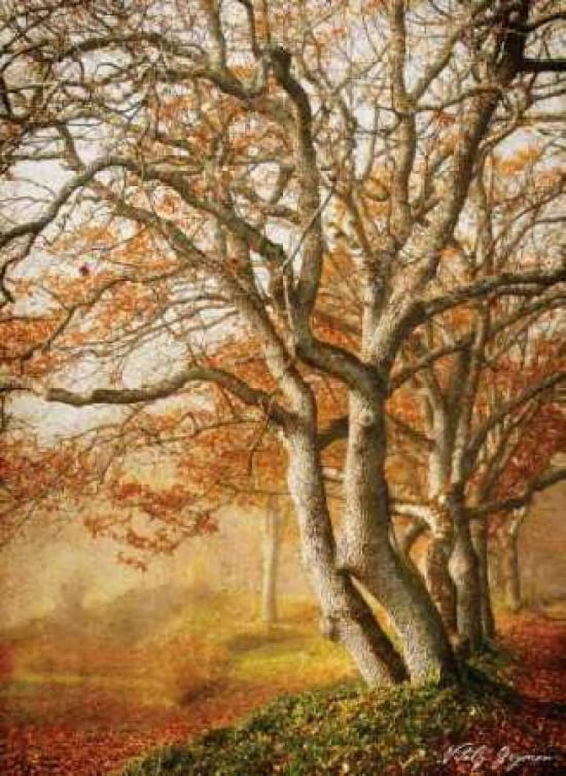 In the Mist II Canvas Art - Vitaly Geyman (18 x 24)
