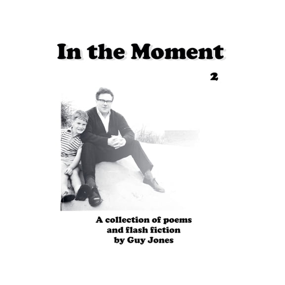 In the Moment In the Moment 2, Book 2, (Paperback)