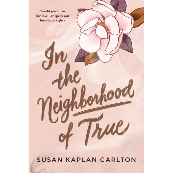 In the Neighborhood of True (Paperback)