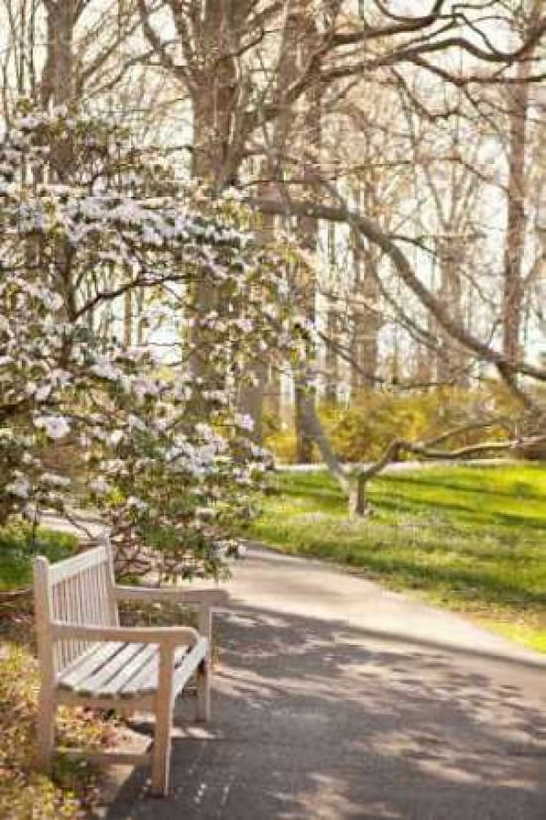 In the Park II Canvas Art - Karyn Millet (24 x 36)
