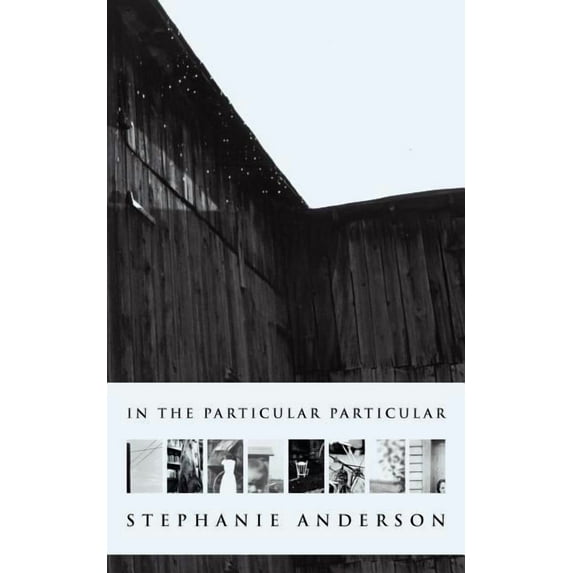 In the Particular Particular (Paperback) by Stephanie Anderson