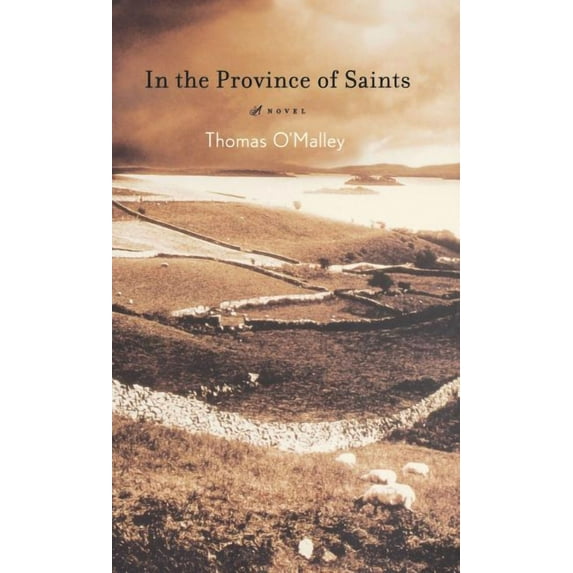 In the Province of Saints : A Novel (Hardcover)