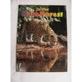 thumbnail image 1 of Pre-Owned In the Rain Forest Paperback, 1 of 1