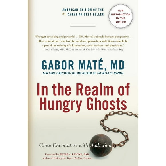 In the Realm of Hungry Ghosts : Close Encounters with Addiction (Paperback)