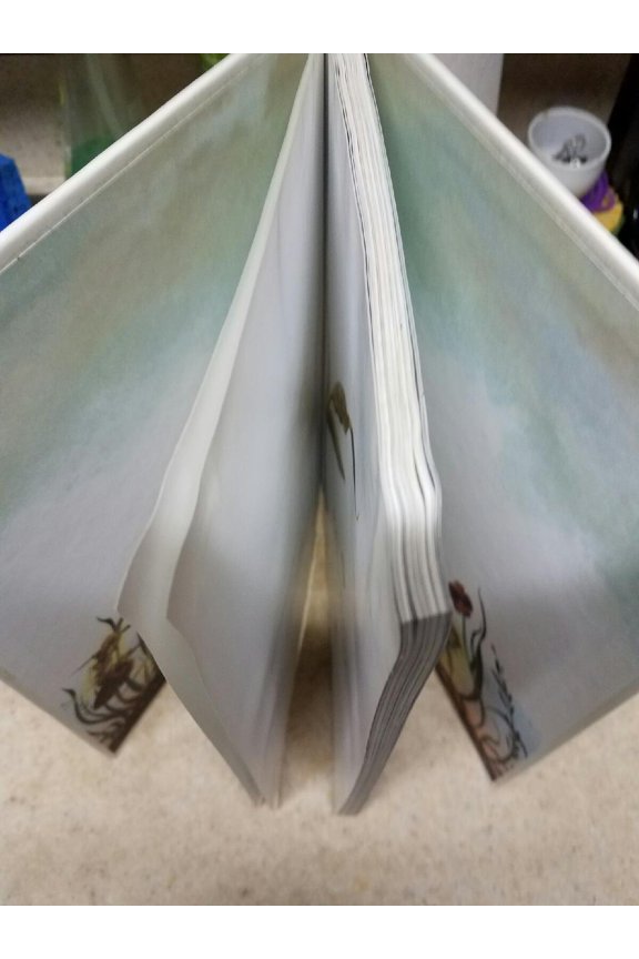 In the Realm of the Never Fairies : Secret World of Pixie Hollow, The (Hardcover)