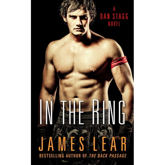 In the Ring: A Dan Stagg Mystery, (Paperback)