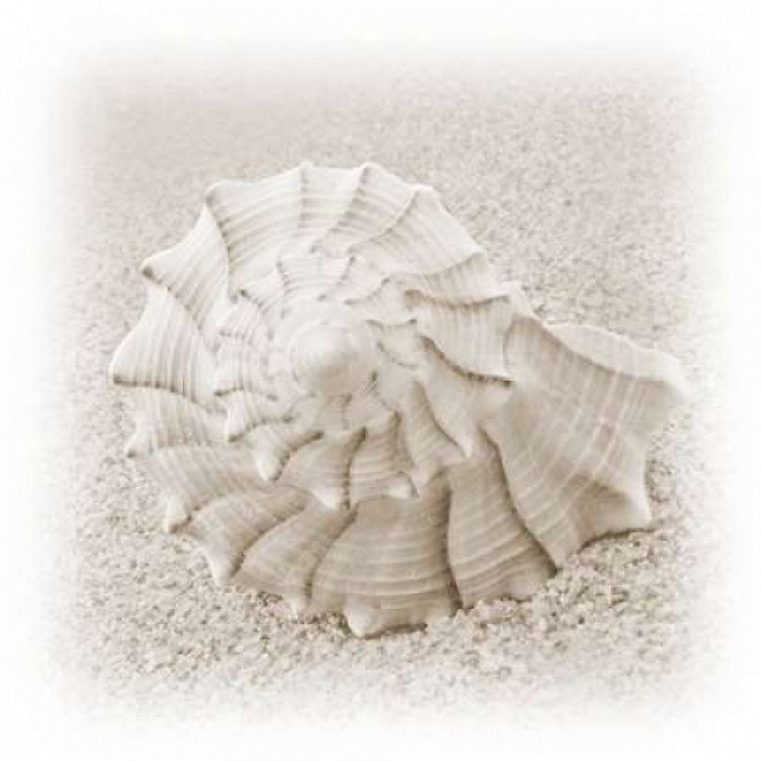 In the Sand I Canvas Art - Jim Christensen (24 x 24)
