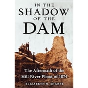 In the Shadow of the Dam The Aftermath of the Mill River Flood of 1874, Paperback