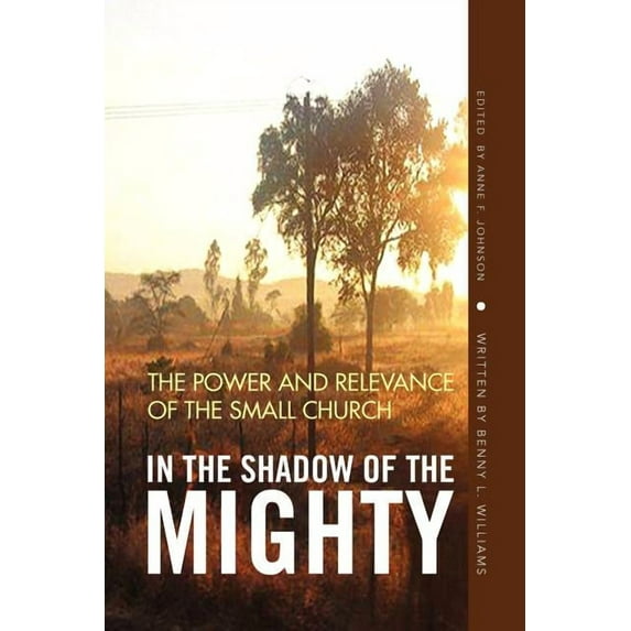 In the Shadow of the Mighty : The Power and Relevance of the Small Church