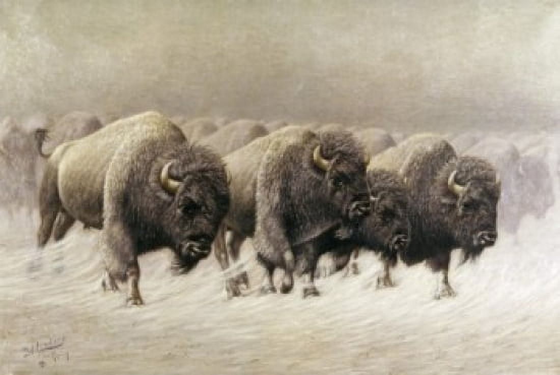 In the Teeth of the Blizzard EW Lenders (1864-1934 American) Canvas Art - EW Lenders (24 x 36)