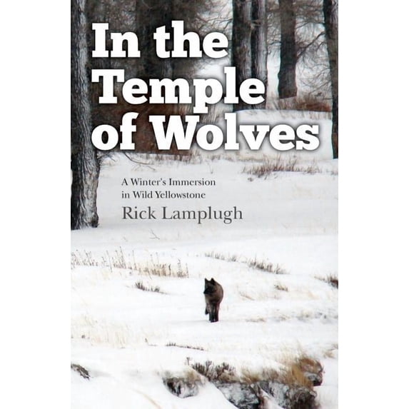 In the Temple of Wolves: A Winter's Immersion in Wild Yellowstone, (Paperback)