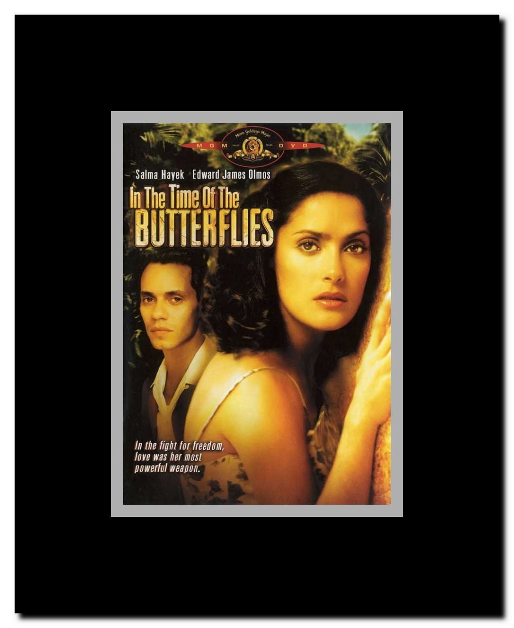 In the Time of the Butterflies Framed Movie Poster
