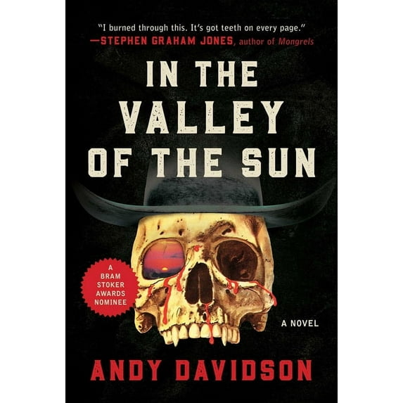 In the Valley of the Sun : A Novel (Paperback)