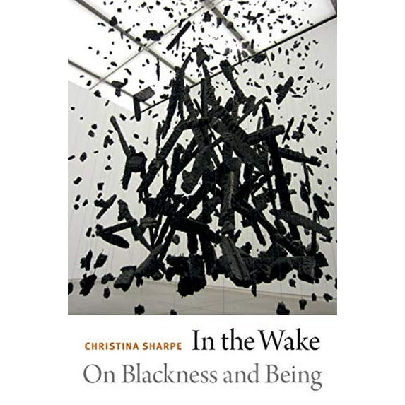 Pre-Owned In the Wake: On Blackness and Being