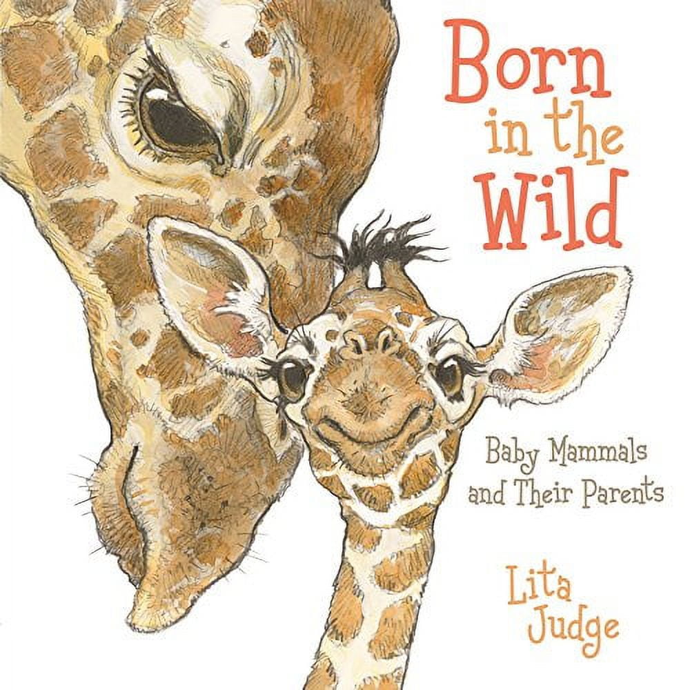 In the Wild: Born in the Wild : Baby Animals and Their Parents (Board book), image size:1000x1000