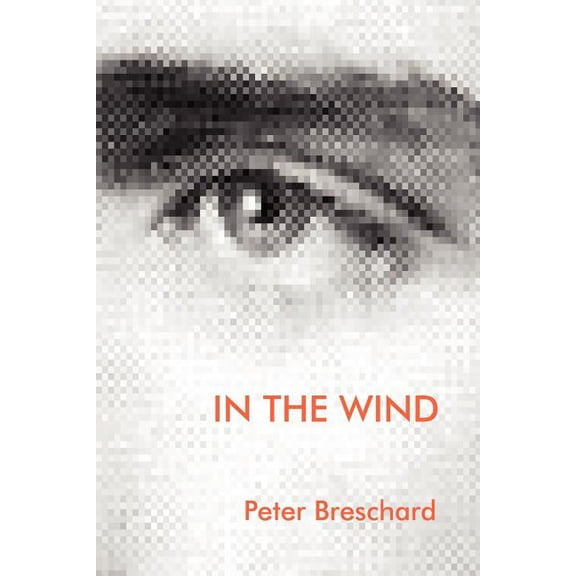 In the Wind (Paperback)