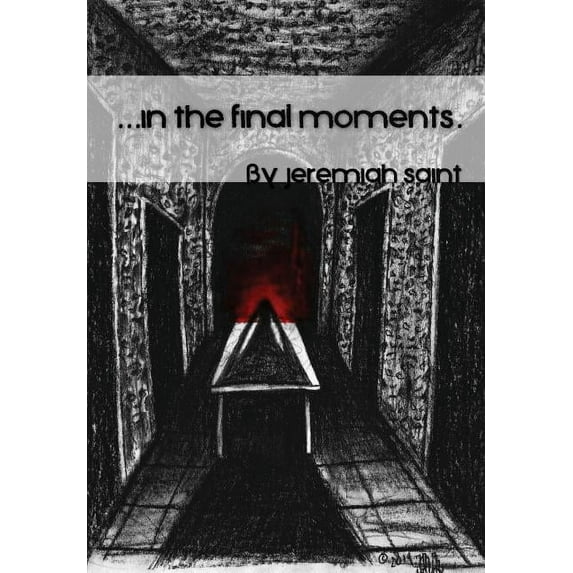 In the final moments..., (Hardcover)