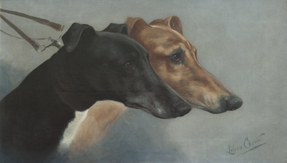 In the slips for the Waterloo Cup 1914 Canvas Art - Lilian Cheviot (18 x 24)