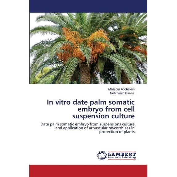 In vitro date palm somatic embryo from cell suspension culture (Paperback)