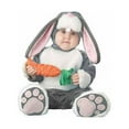 thumbnail image 1 of Elite Lil Bunny Infant Costume, 1 of 1