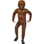 INSPIRIT SKIN CARE InSpirit Designs, LLC Godzilla x Kong Suko Economy Child Costume | Medium Unisex