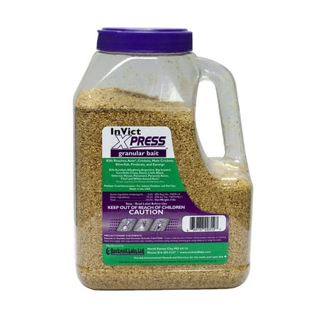 InVict Express Granular Broad-Spectrum Insect Bait - 4 lb Shaker Jug by Rockwell Labs