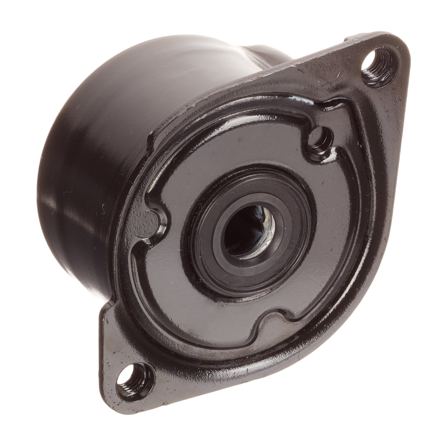Schaeffler INA FT40170, BDC FEAD tensioner, Compatible with BMW 335d 09-11